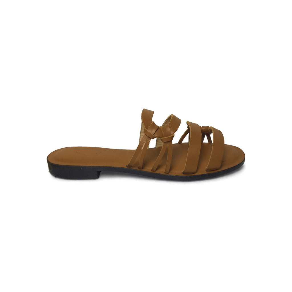 MARA CAMEL
